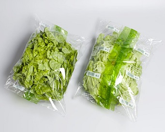 自动水果蔬菜包装机